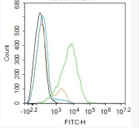 Anti-CLEC 4E antibody-C型凝集素4家族E抗体
