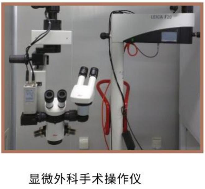临床前预实验 临床前研究 临床前CRO服务 临床前CRO公司