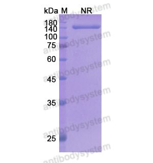 Research Grade Olendalizumab  (DHB90003)