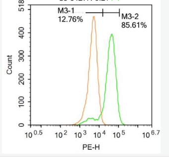 Anti-UHRF1 antibody-核蛋白95抗体
