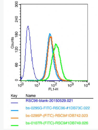 Anti-beta Amyloid 1-42 antibody-β淀粉样肽（1-42）抗体