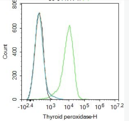 Anti-Angiopoietin 4 antibody-血管生成素3/血管生成素4抗体