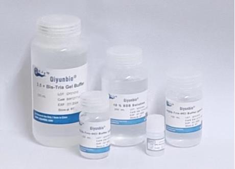 20%葡萄糖溶液（过滤除菌）