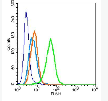 Anti-CD11a antibody-整合素αL抗体