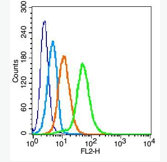 Anti-SIGLEC5 antibody-唾液酸结合性免疫球蛋白样凝集素5抗体