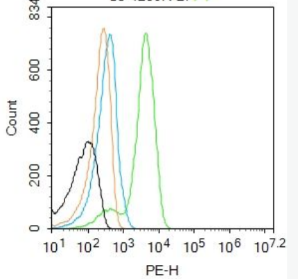 Anti-BNIP3 antibody-促凋亡调节蛋白BNIP3抗体