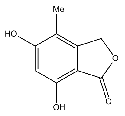 吗替麦考酚酯杂质1