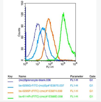 Anti-TUSC1 antibody-肺癌抑癌蛋白1抗体