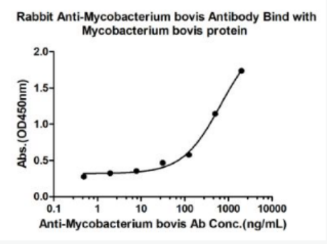 Anti-Mycobacterium bovis antibody-牛结核杆菌抗体
