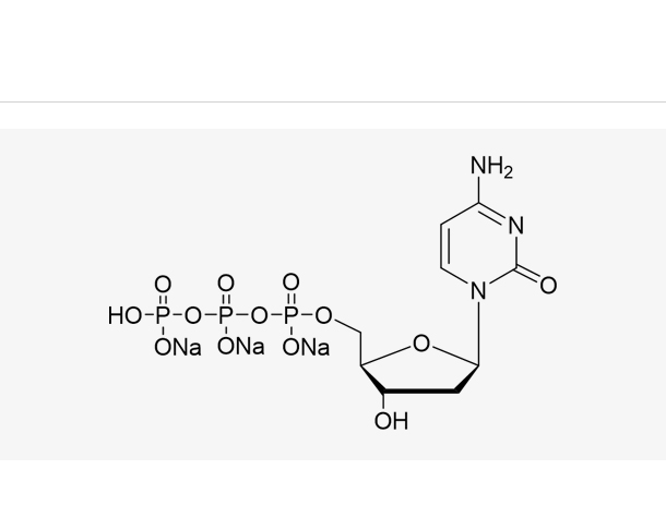 dCTP Sodium Salt Solution(100mM)