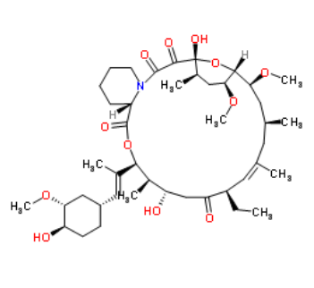 子囊霉素 11011-38-4