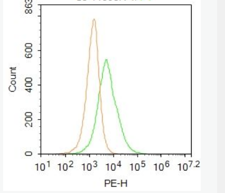Anti-Monoamine oxidase A+B antibody-单氨氧化酶A+B抗体