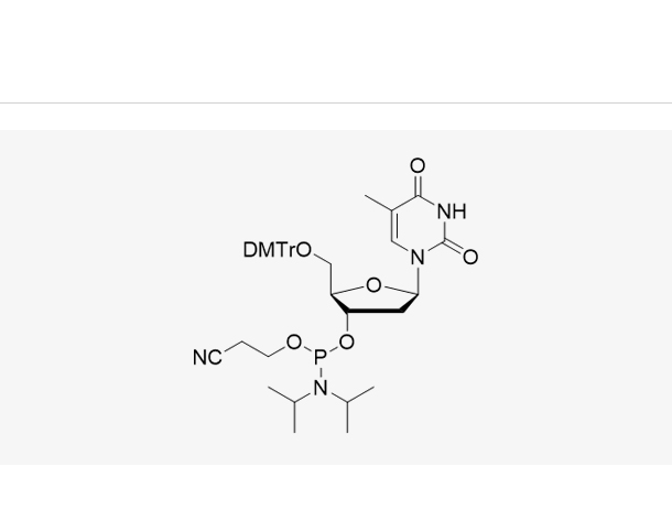 DMT-dT-CE-Phosphoramidite
