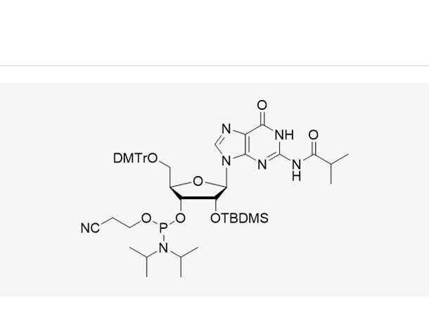 DMT-2'-O-TBDMS-G(iBu)-CE