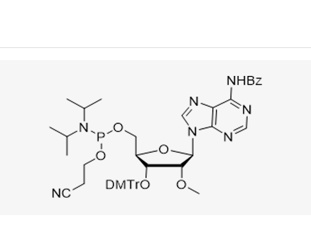 3'-DMT-2'-OMe-A(Bz)-CE Reverse
