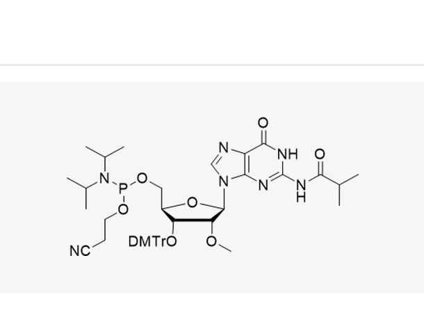 3'-DMT-2'-OMe-G(iBu)-CE Reverse