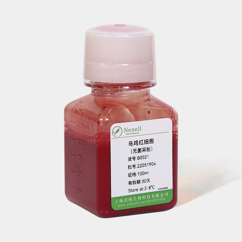 动物红细胞（鸡、小鼠、大鼠、羊、牛、豚鼠、猪、鸭、乌鸡等）