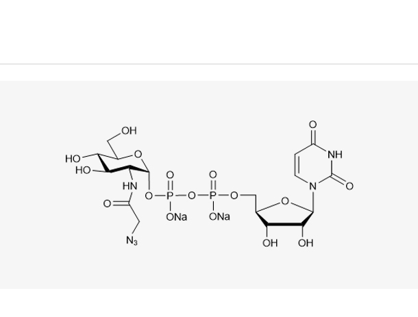 UDP-GlcNAz.2Na(98%)