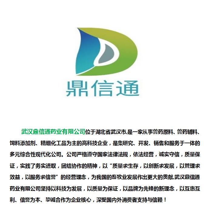 武汉鼎信通-抬头宣传.jpg 武汉鼎信通-抬头宣传.jpg