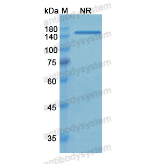 Research Grade Tadocizumab  (DHC33303)