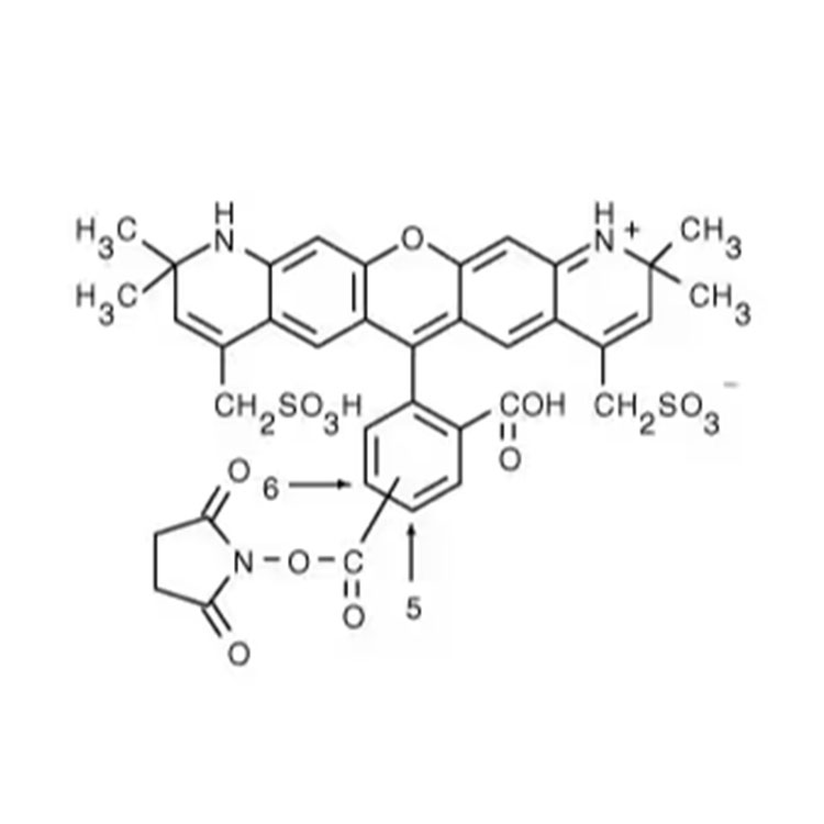 247145-38-6，AF568-NHS，AF568-琥珀酰亚胺酯，亮橙色染料
