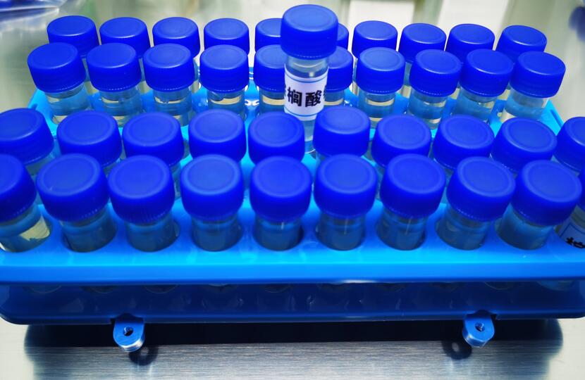 无菌BSA偶联棕榈酸钠储存液/无菌BSA偶联油酸钠储存液/BSA脂肪酸储存液