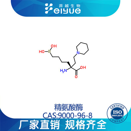 精氨酸酶原料99%高纯粉--菲越生物