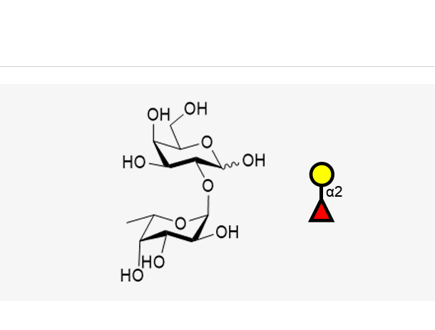 Blood type disaccharide H
