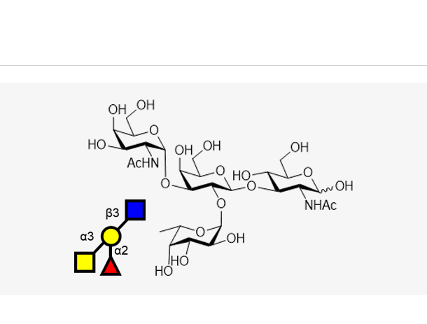 Blood type tetrasaccharide A Type I