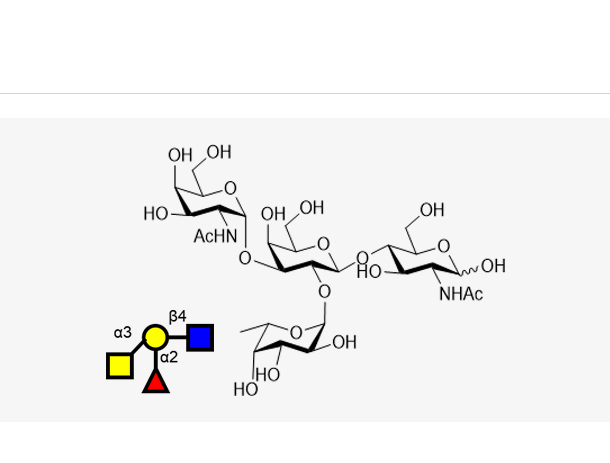 Blood type tetrasaccharide A Type II