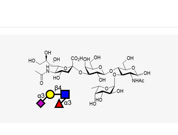 Sialyl Lewis X (sLeX)