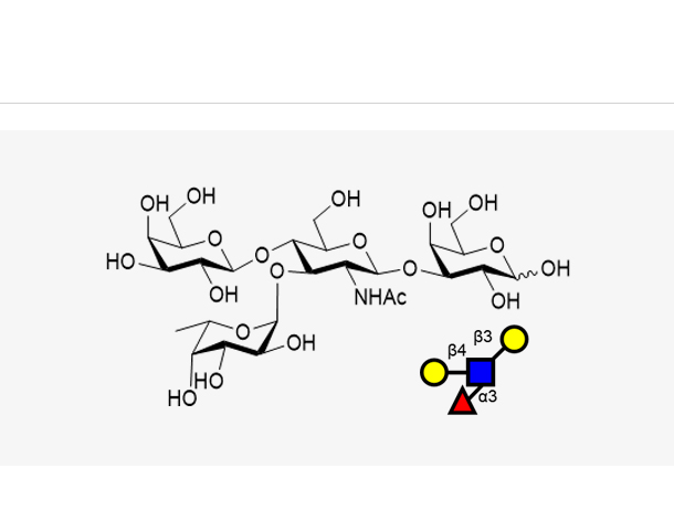 Lewis X (LeX) Tetrasaccharide