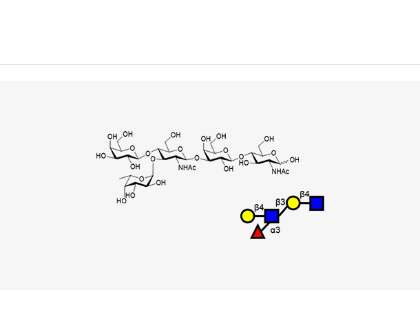 Lewis X (LeX) Pentasaccharides