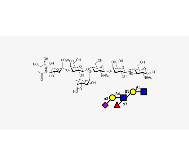 Sialyl Lewis X (sLeX)-Hexasaccharide
