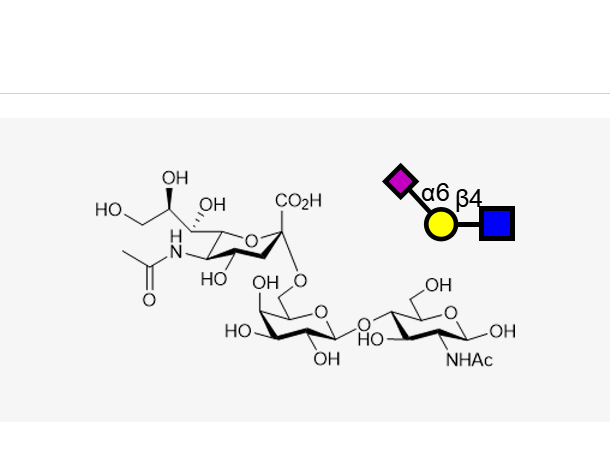 NeuAca2, 6Galb1, 4GlcNAc