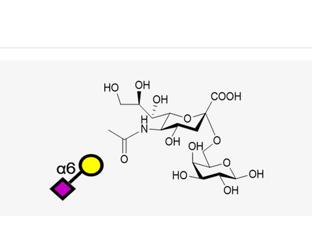 Neu5Aca2, 6Gal