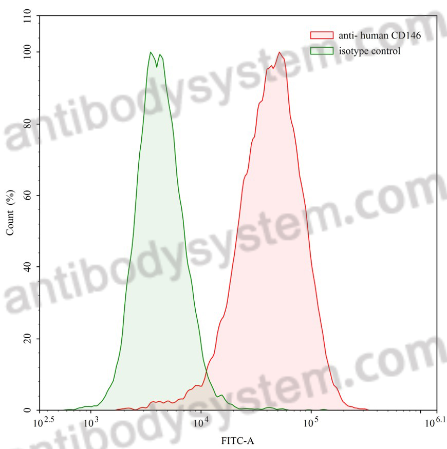Anti-Human CD146/MUC18/MCAM Antibody (SAA0060) (FHE39720)