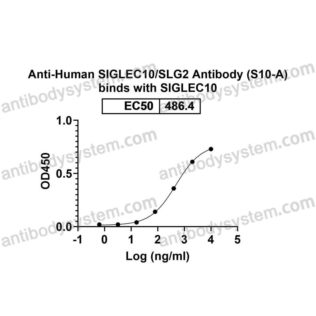 Anti-Human SIGLEC10/SLG2 Antibody (S10-A) (FHJ40410)