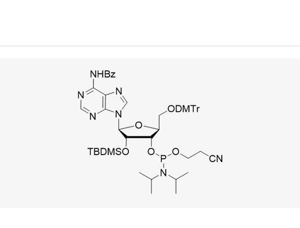 5'-O-DMTr-2'-O-TBDMS-L-A(Bz)-3'-CE