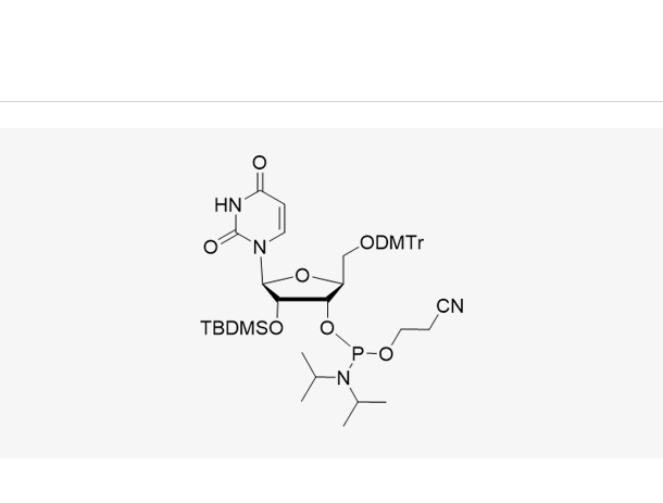 5'-O-DMTr-2'-O-TBDMS-L-U-3'-CE