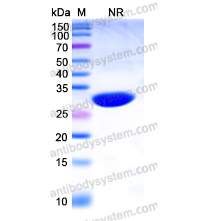 Research Grade Caplacizumab(DHC08501)