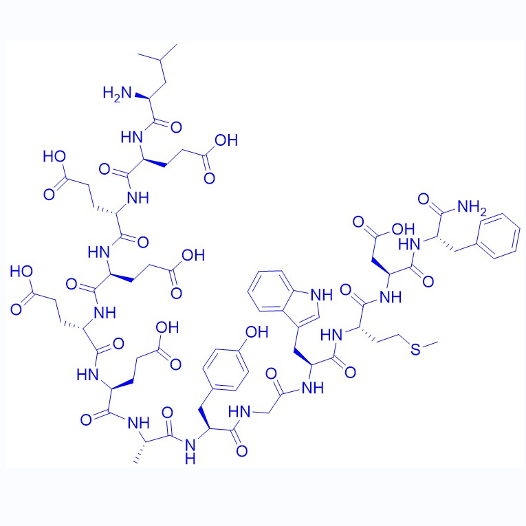 迷你胃泌素I，人源/54405-27-5/60748-07-4/Minigastrin I (human)