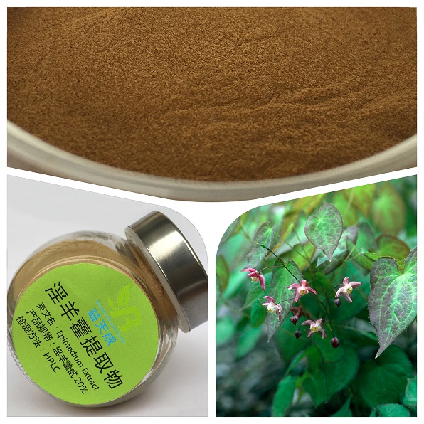 厂家现货淫羊藿提取物 淫羊藿单苷