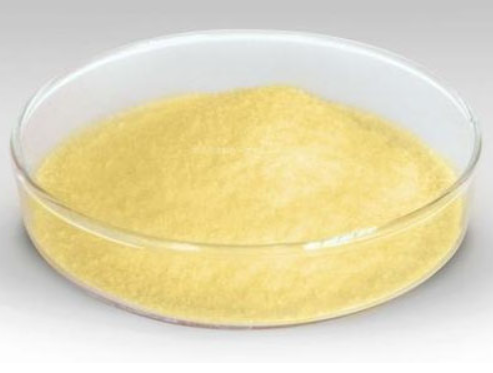 24242-20-4；5-氨基-2-吡啶羧酸