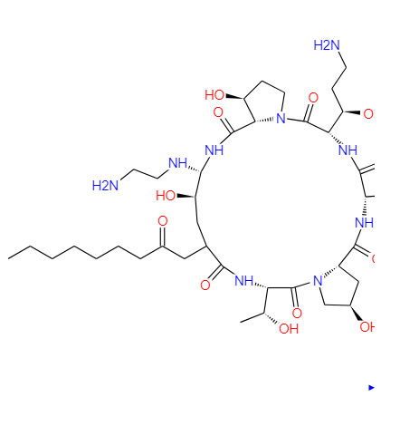 162808-62-0；卡泊芬净