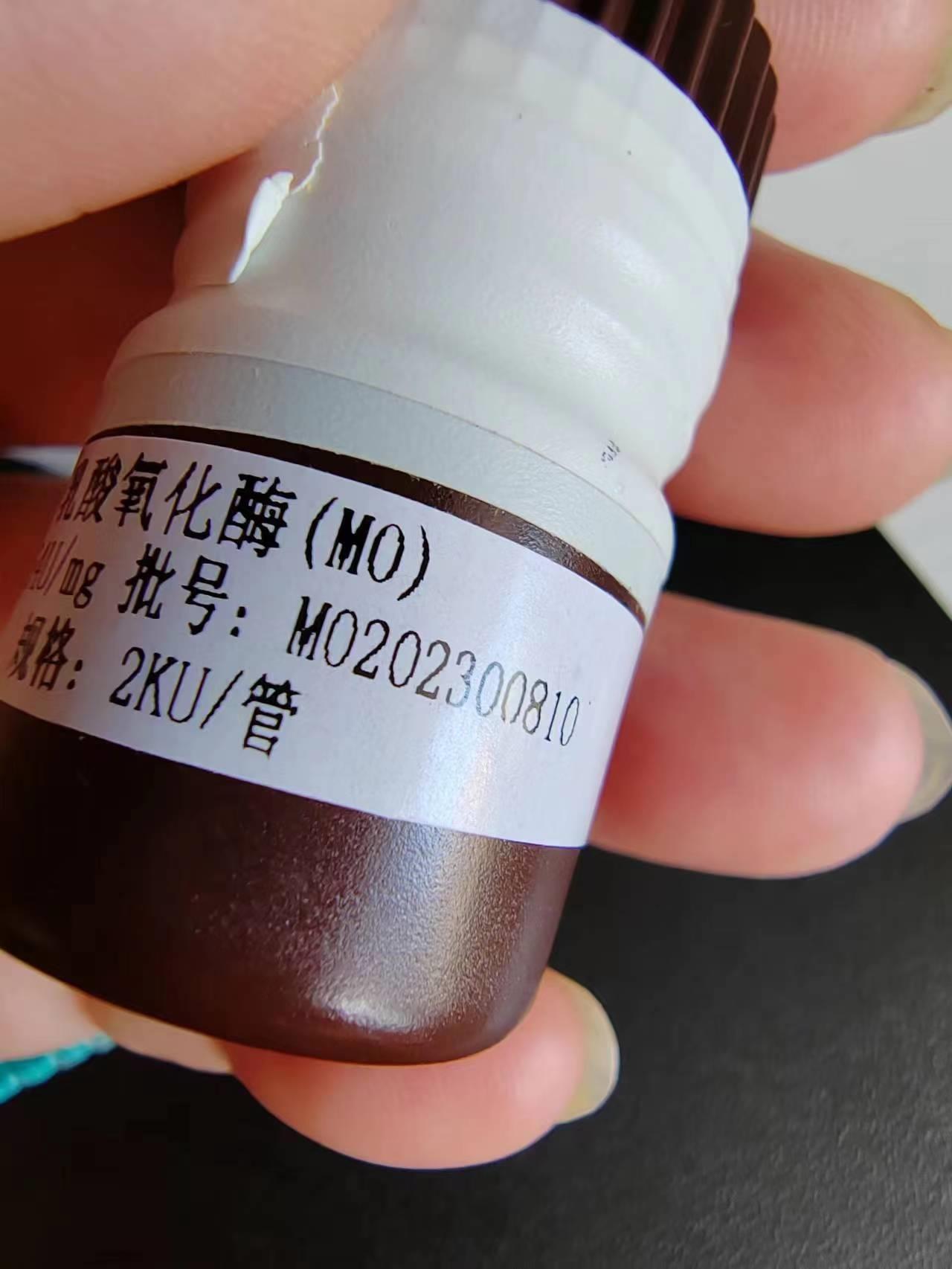 乳酸氧化酶.jpg 乳酸氧化酶.jpg