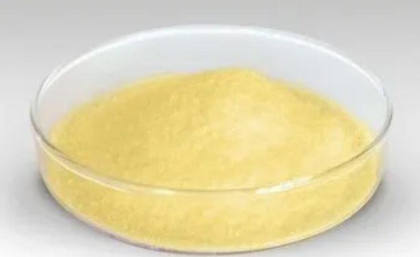 2104-19-0；壬二酸氢甲酯