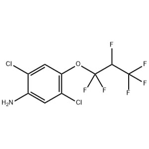 2,5-二氯-4-(1,1,2,3,3,3-六氟丙氧基)苯胺 中间体 103015-84-5