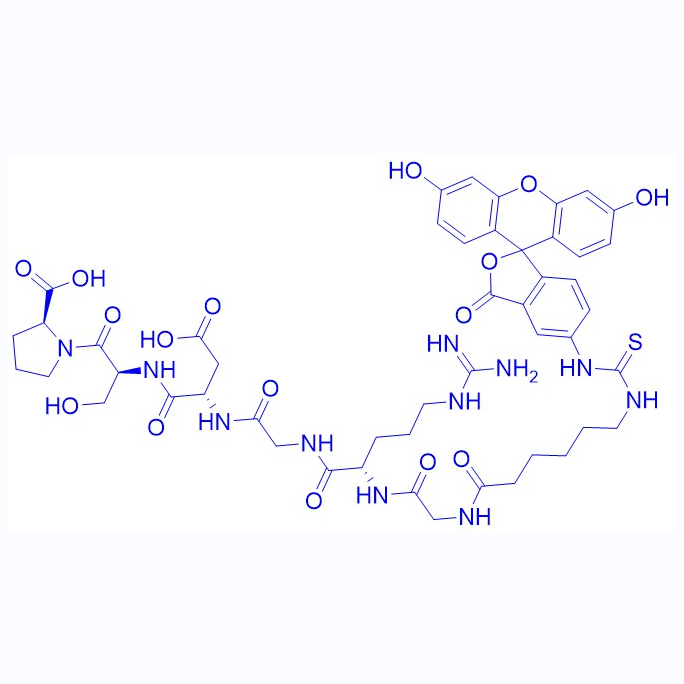 荧光标记RDG多肽/2022956-44-9/FITC-εAhx-Gly-Arg-Gly-Asp-Ser-Pro-OH