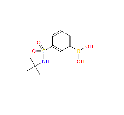 3-硼苯磺酰胺叔丁酯 221290-14-8